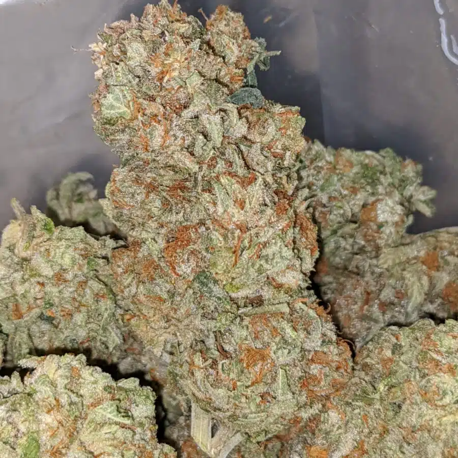 tonys cali kush 2 I Tony's Cali Kush