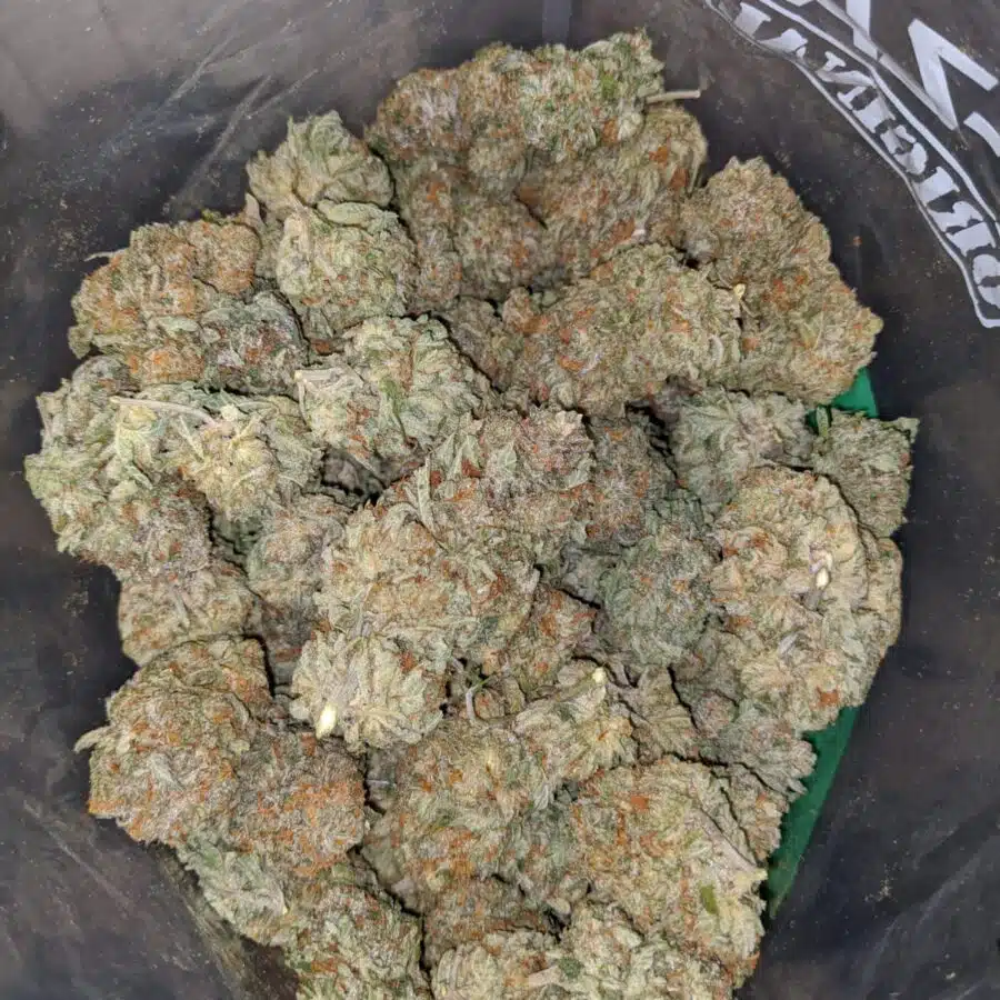 tonys cali kush 4 I Tony's Cali Kush
