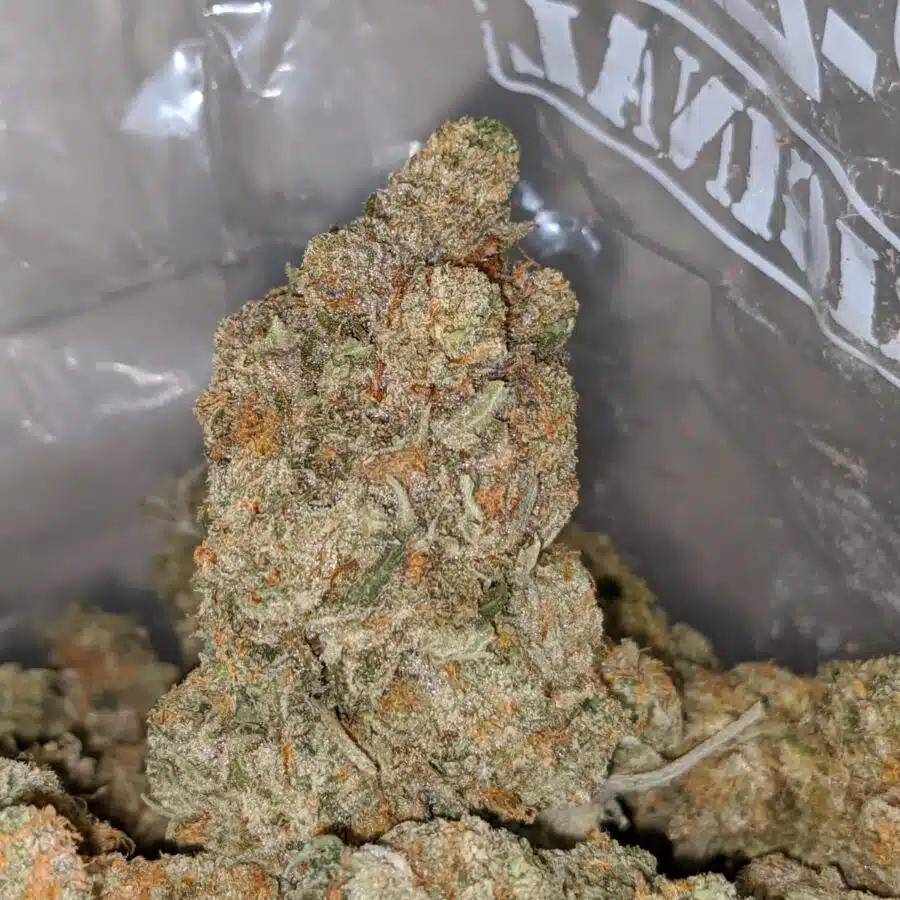 Alternative view of Tony's Grease Monkey