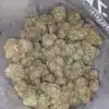 Tony's Grease Monkey
