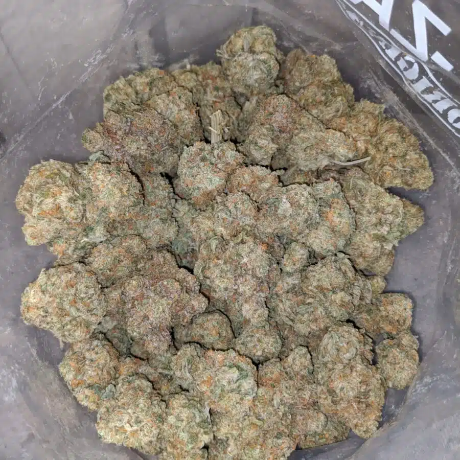 Tony's Grease Monkey
