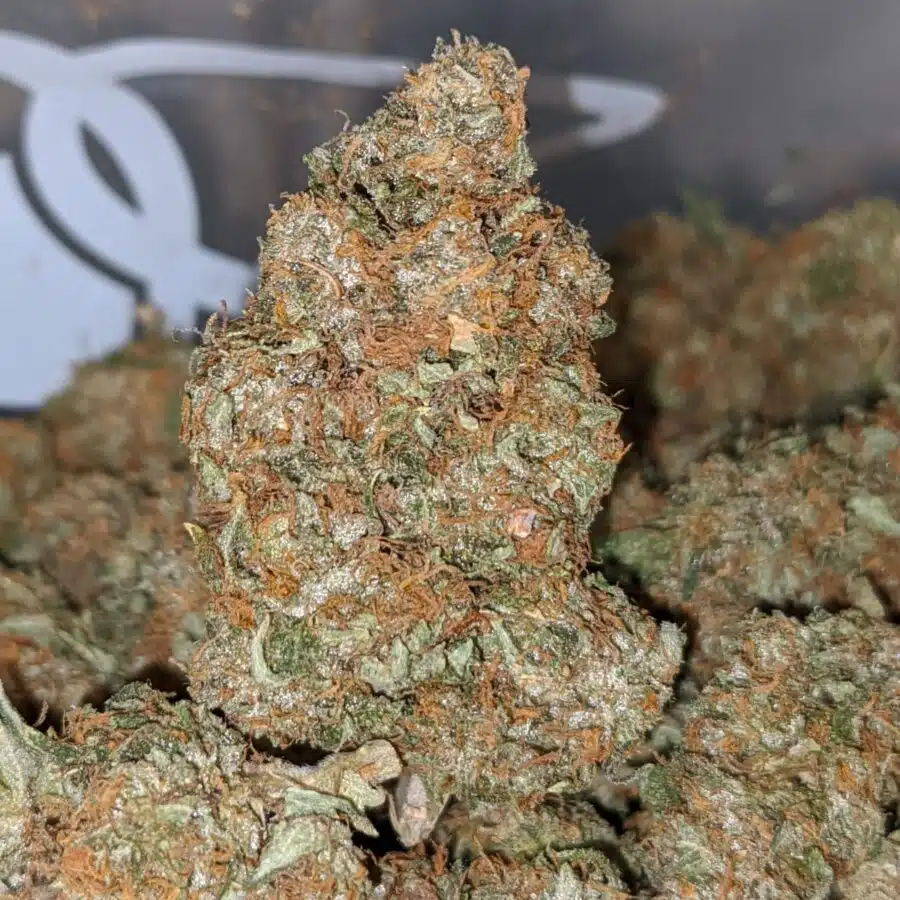 tonys jedi kush 1 I Tony's Jedi Kush
