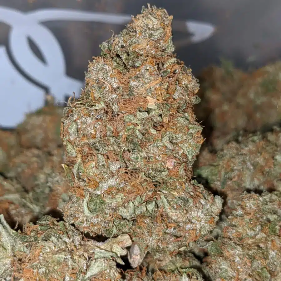 tonys jedi kush 2 I Tony's Jedi Kush
