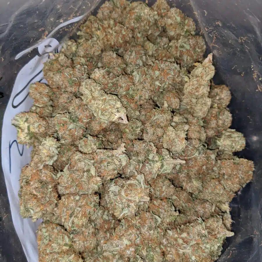 tonys jedi kush 4 I Tony's Jedi Kush