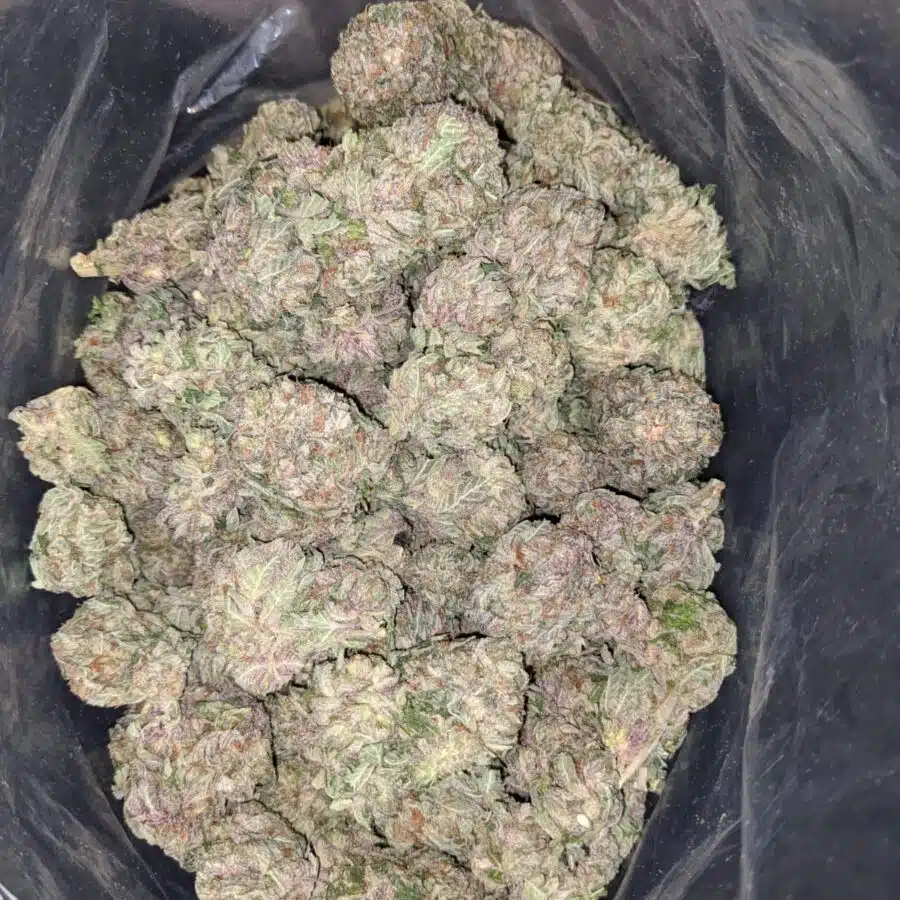 100 OG 1 I $100 OG