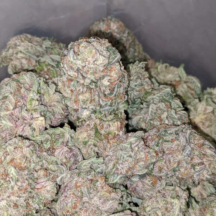 100 OG 3 I $100 OG