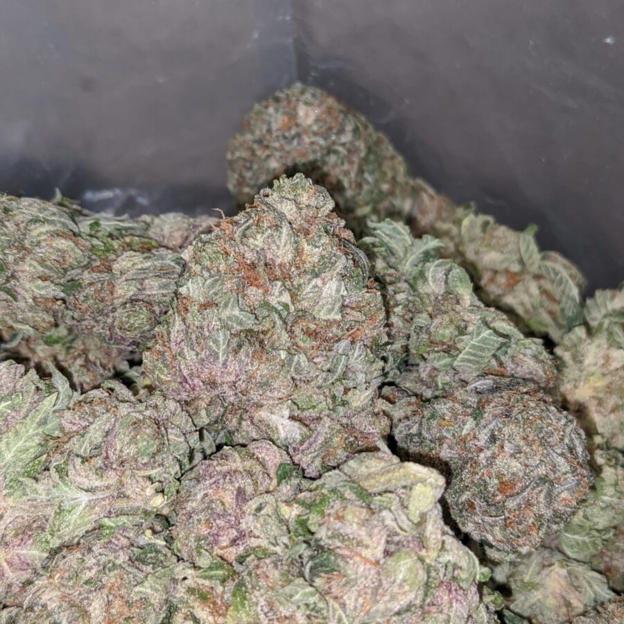 100 OG 4 I $100 OG