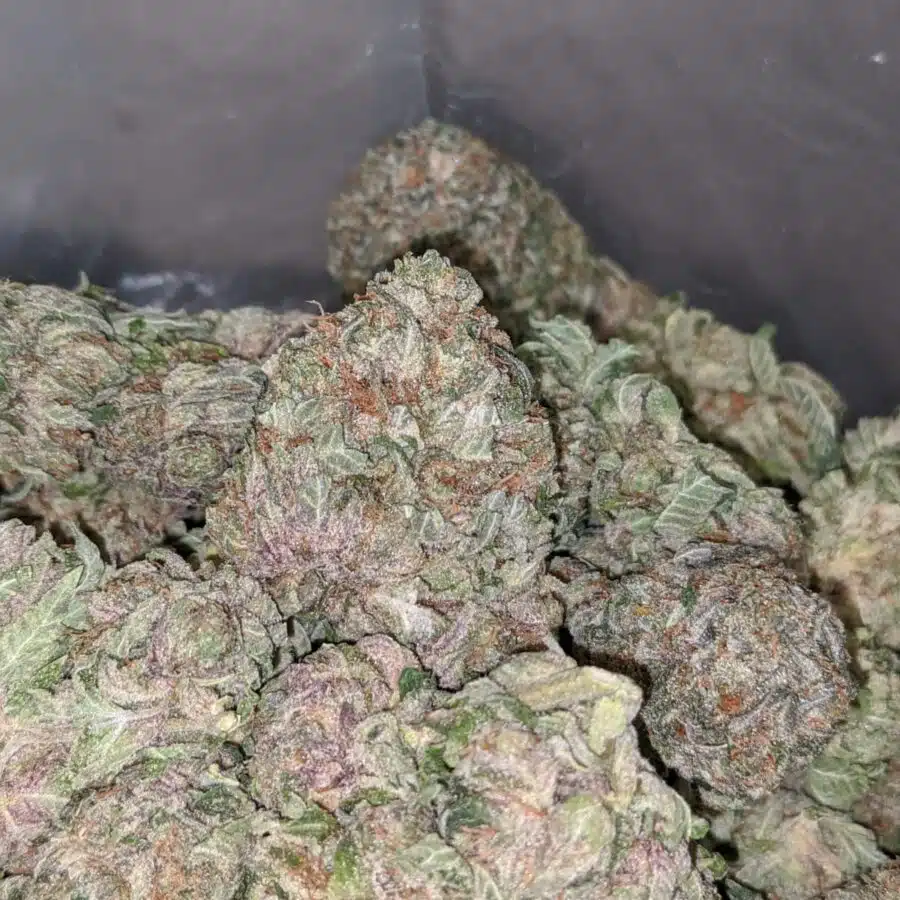 100 OG 4 I $100 OG