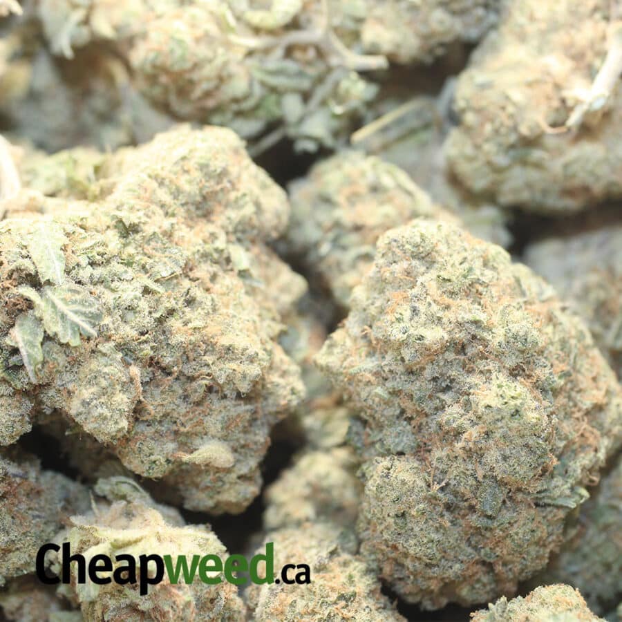 47 SUGAR COOKIES 1 I $47 Oz - Sugar Cookies