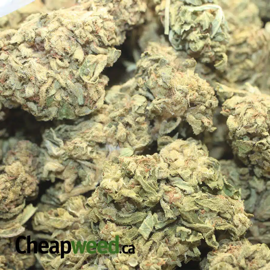 AA SOUR WIDOW 4 I $25 oz - Sour Widow