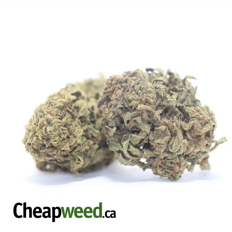 Alternative view of $25 oz - Sour Widow
