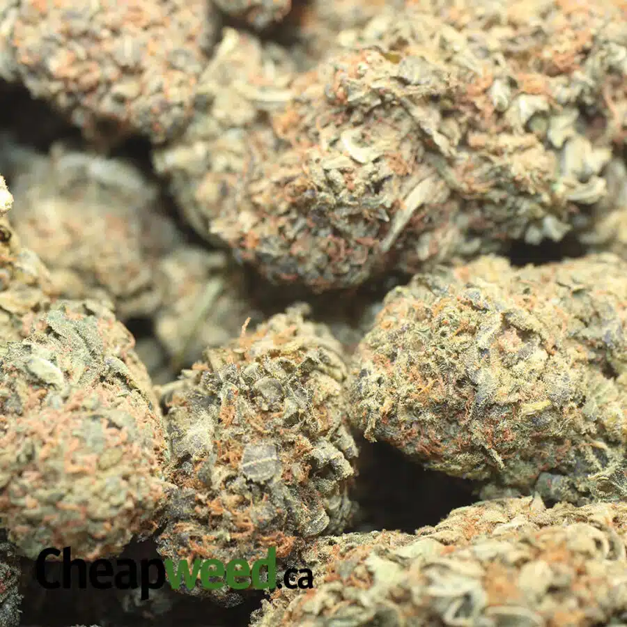 AA STINKY BUBBA 4 I $22 Oz - Goat Bubba