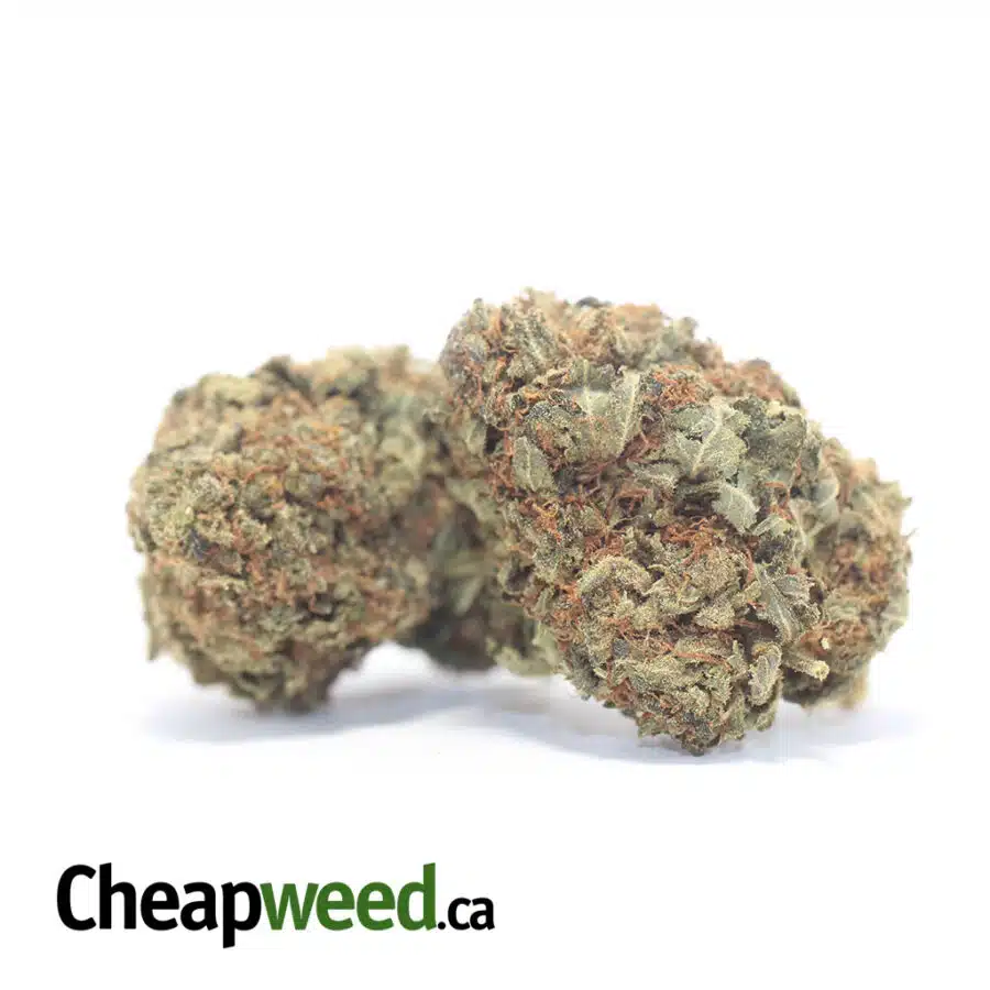Alternative view of $22 Oz - Goat Bubba