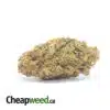 Black Kush AA+