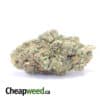Bubba Wreck