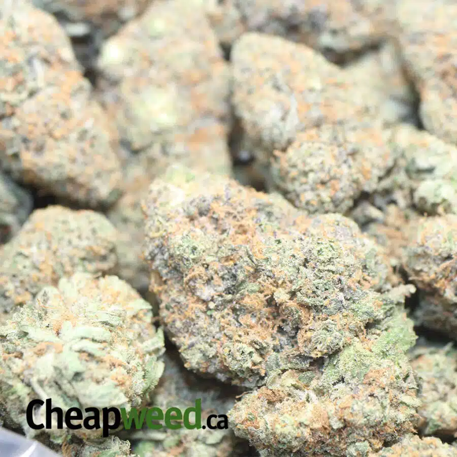 CARAMEL COOKIES 1 I $59 Oz - Caramel Cookies