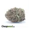 Greenfarm's Durban Poison