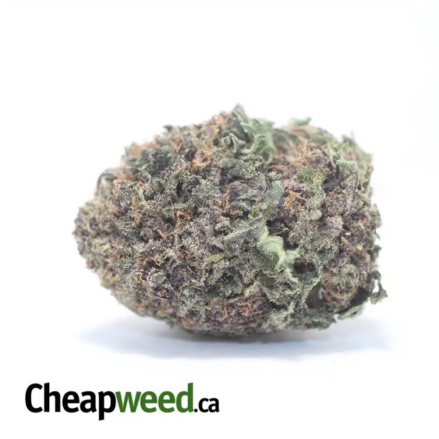Greenfarm's Durban Poison