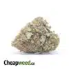 Golden Goat - *Deal Of The Day*