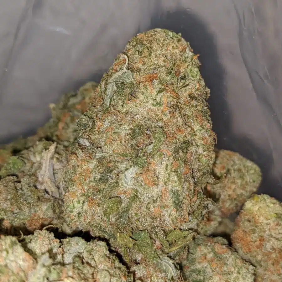 ICE CREAM 1 I $59 Oz - Ice Cream