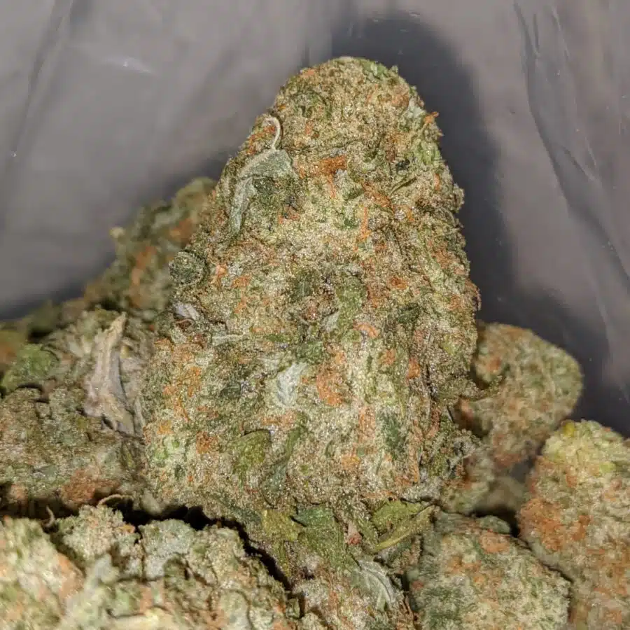 ICE CREAM 2 I $59 Oz - Ice Cream