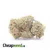 Jack White Gas
