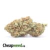 LA Confidential Bulk Special