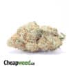 Lemon Cough