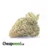 Lemon Haze - *Deal Of The Day*