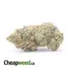 Master OG
