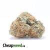 Orange Cheese - *Deal Of The Day*
