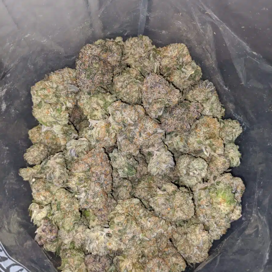 Cereal Milk