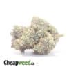 Pink Star AAAA+