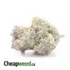 Pink Star AAAA+