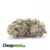 Purple Diesel