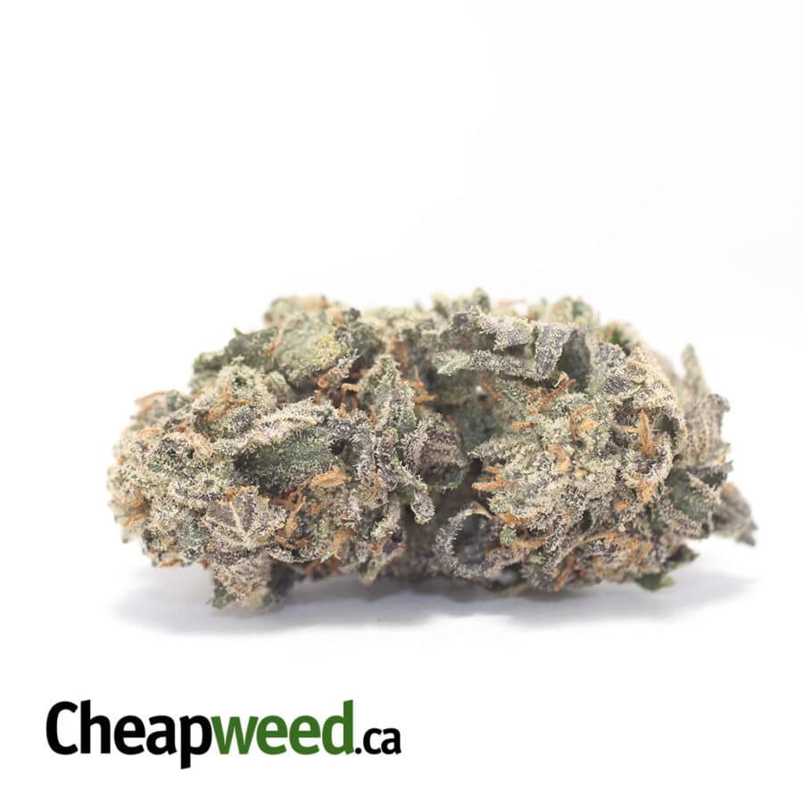 Purple Diesel