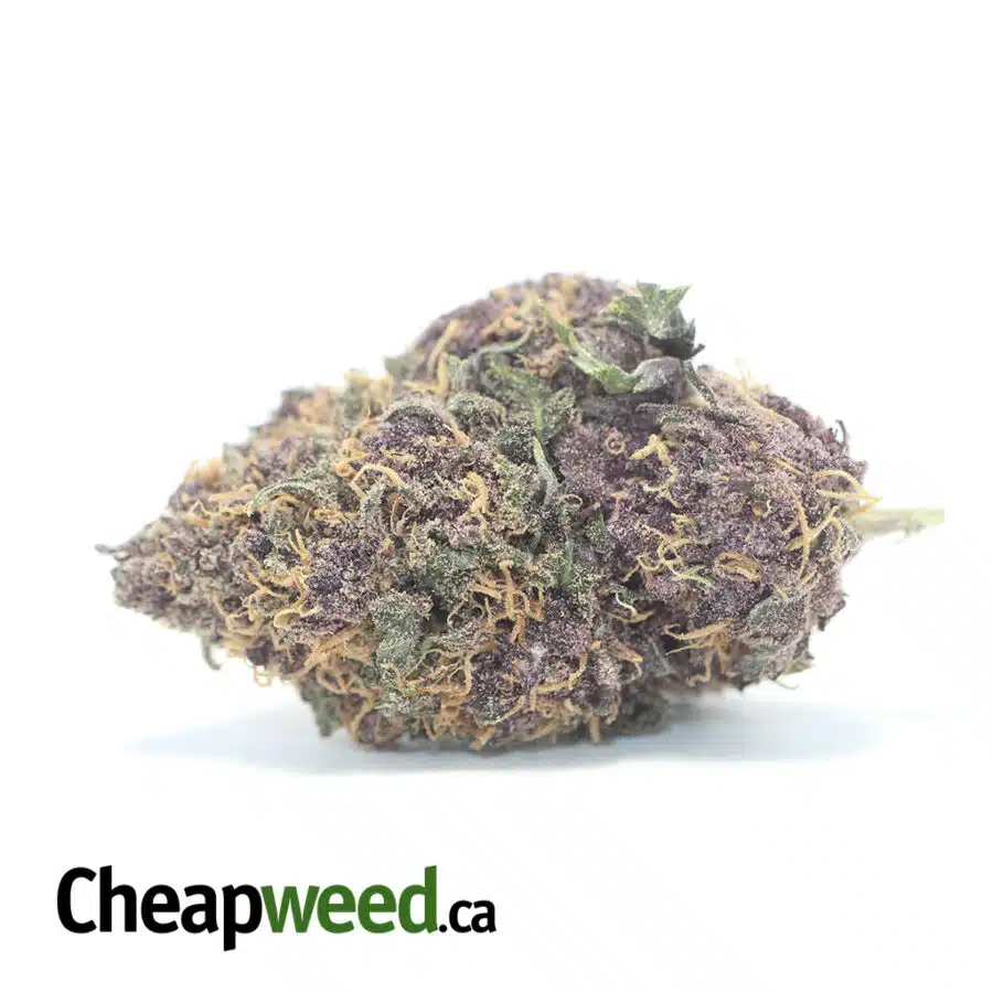 Sweet Island Haze