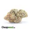 Red Congo - *Deal of the Day*