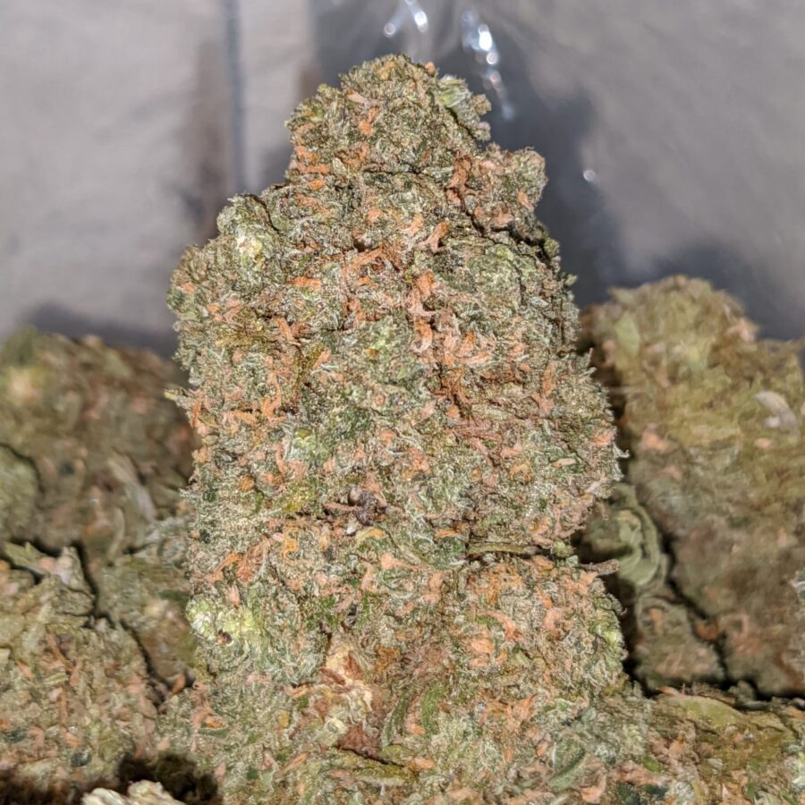 SWEET BUBBLEGUM 1 I Emmas Bubblegum