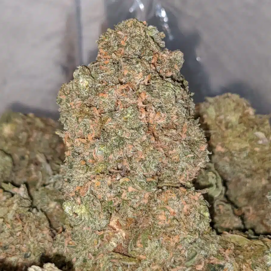 SWEET BUBBLEGUM 1 I Emmas Bubblegum