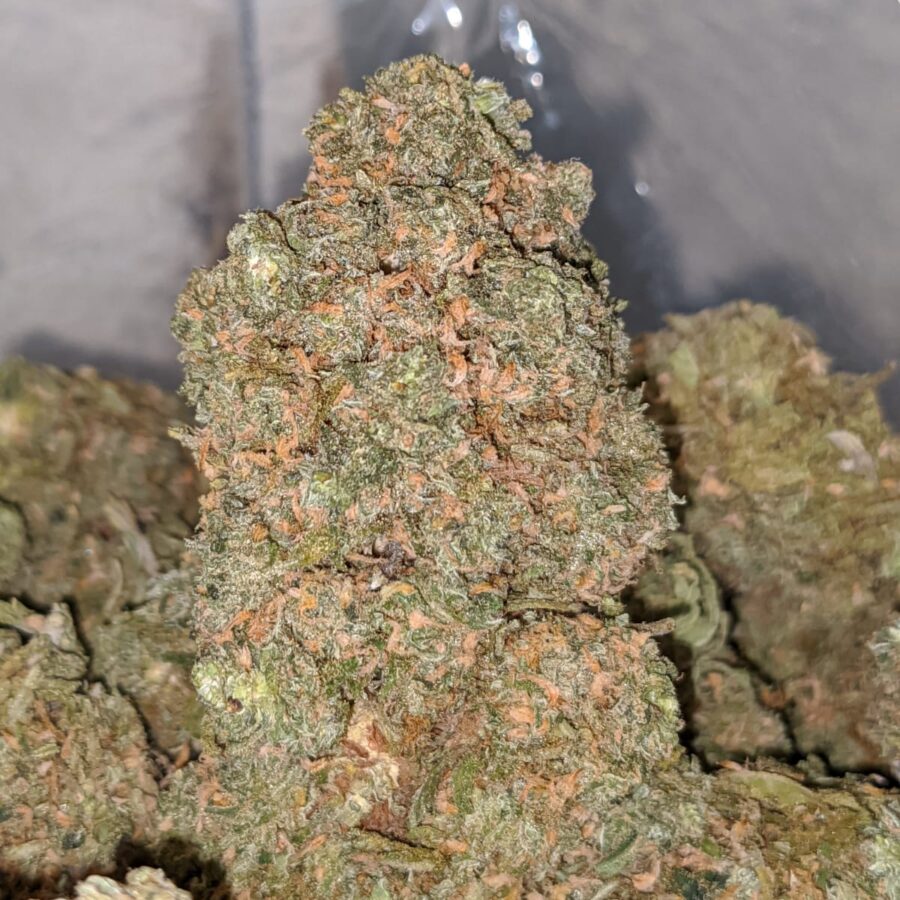SWEET BUBBLEGUM 2 I Emmas Bubblegum