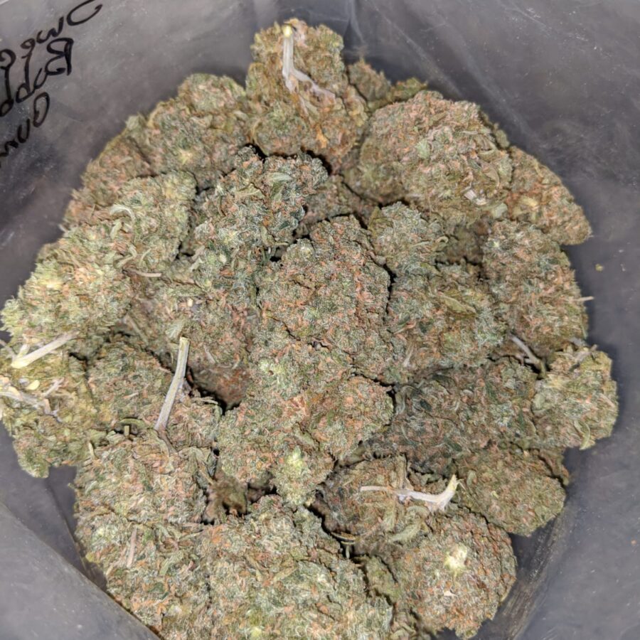 SWEET BUBBLEGUM 4 I Emmas Bubblegum
