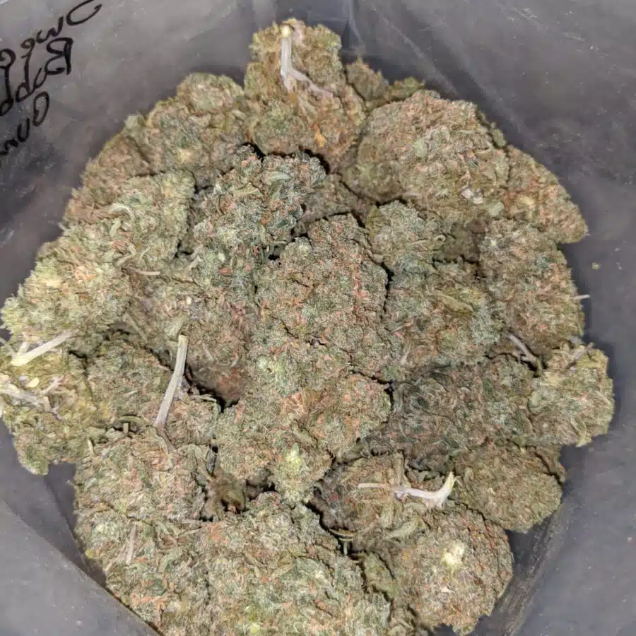 SWEET BUBBLEGUM 4 I Emmas Bubblegum
