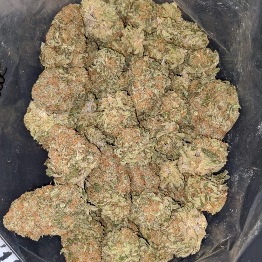 SWEET CHEESE 1 I Sweet Cheese