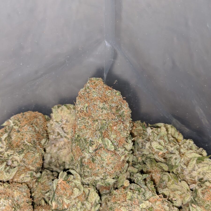 SWEET CHEESE 4 I Sweet Cheese