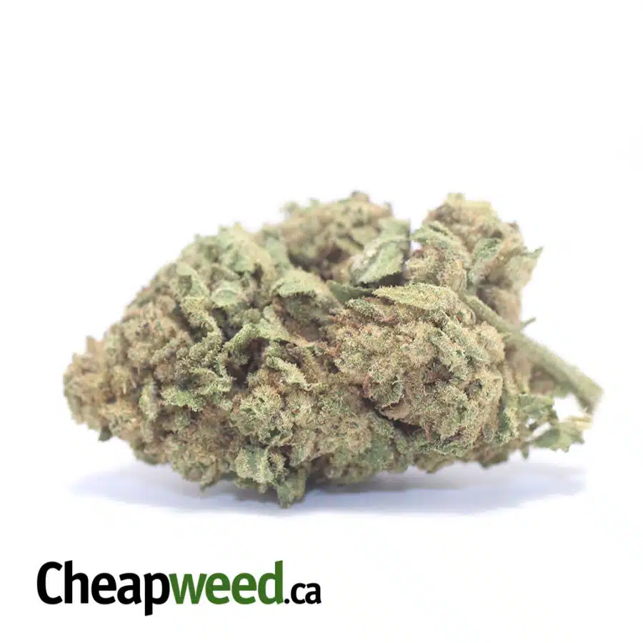 Sweet Kush AA+