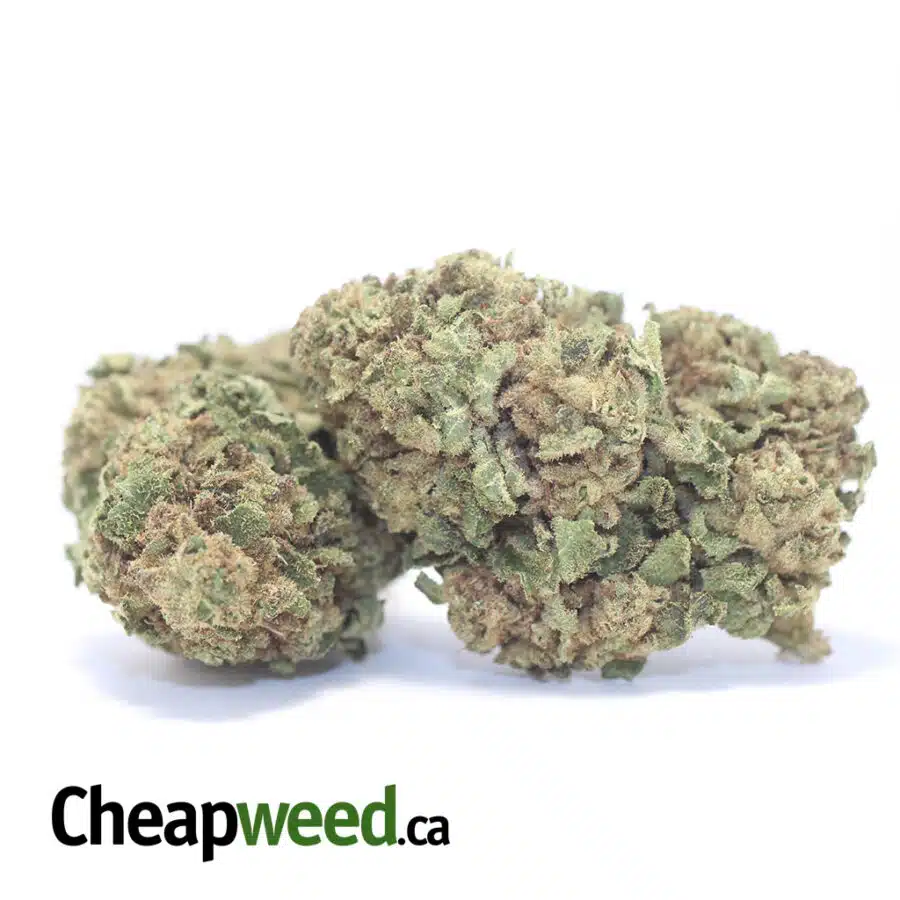 Alternative view of Sweet Kush AA+