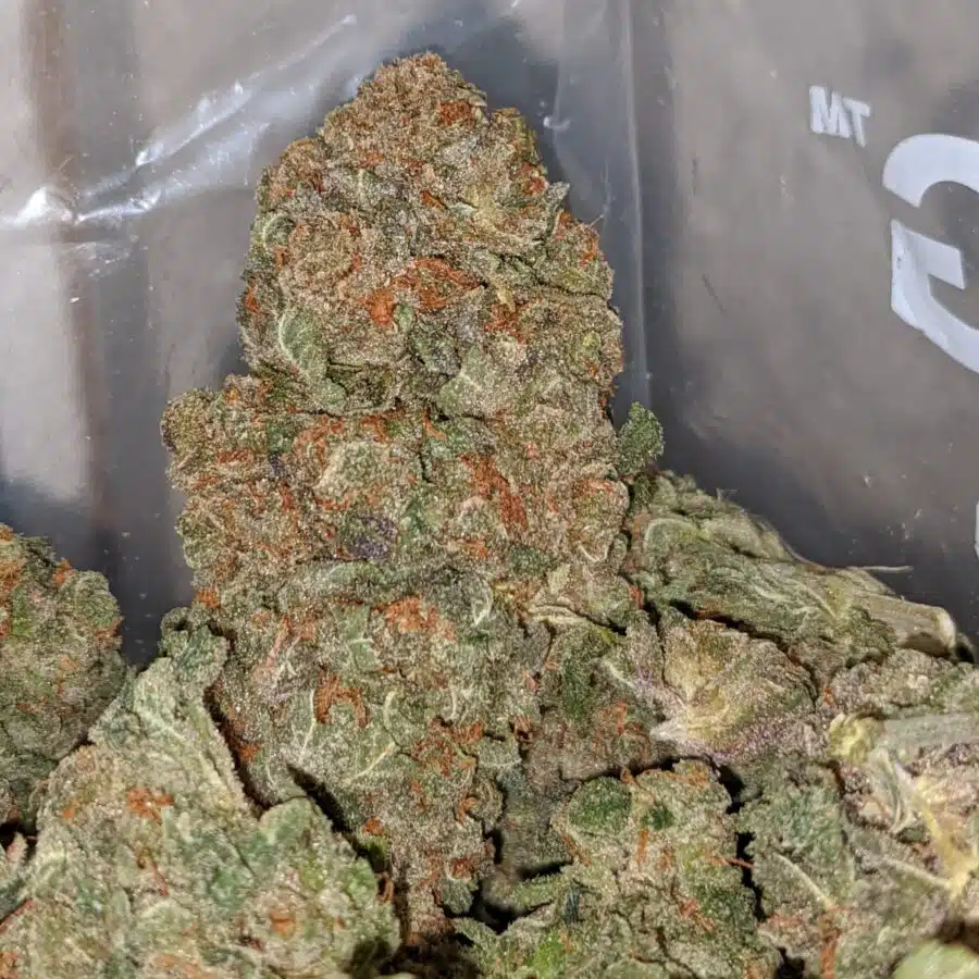 SWEET OCTANE 2 I Fruit Cake