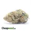 Tony's Cherry Pie
