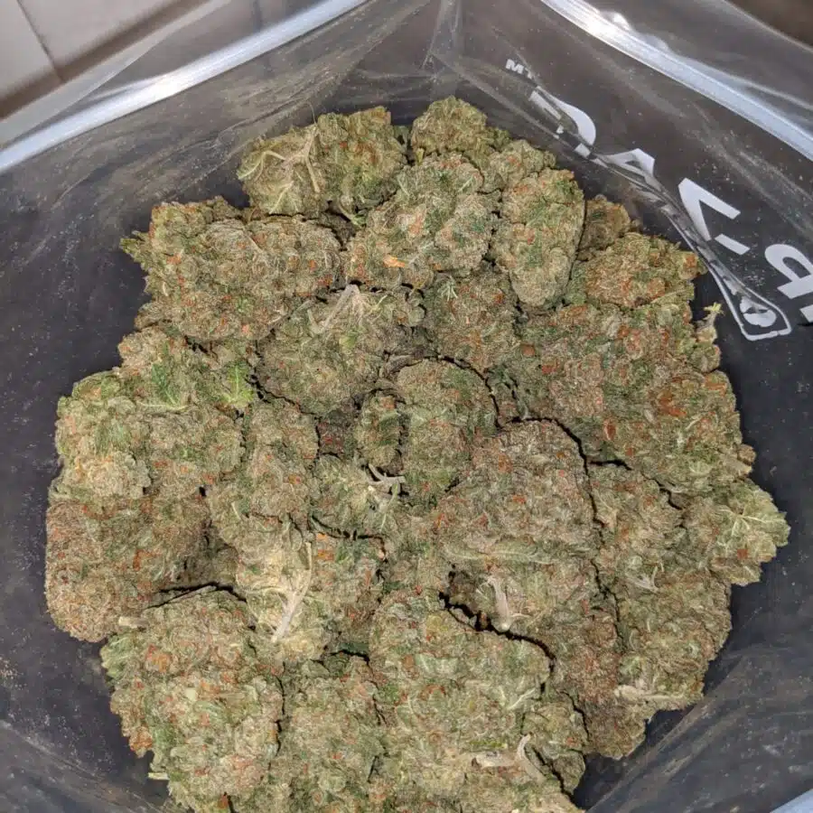 TROPICAL DIESEL 4 I Fruity Pebbles